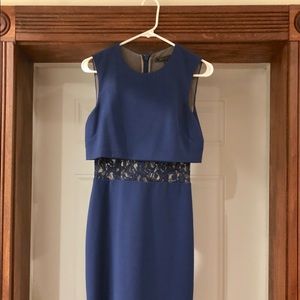 BCBG Fitted Cocktail Dress